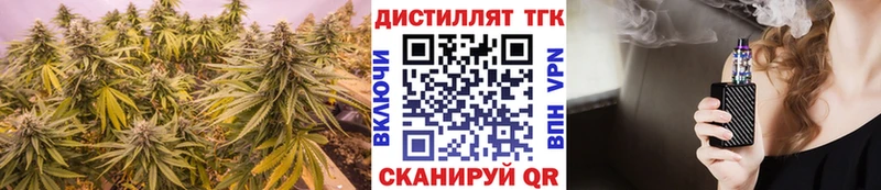 Купить где  Лосино-Петровский  ТГК концентрат 