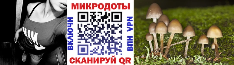 Купить  Лосино-Петровский  Галлюциногенные грибы Cubensis 